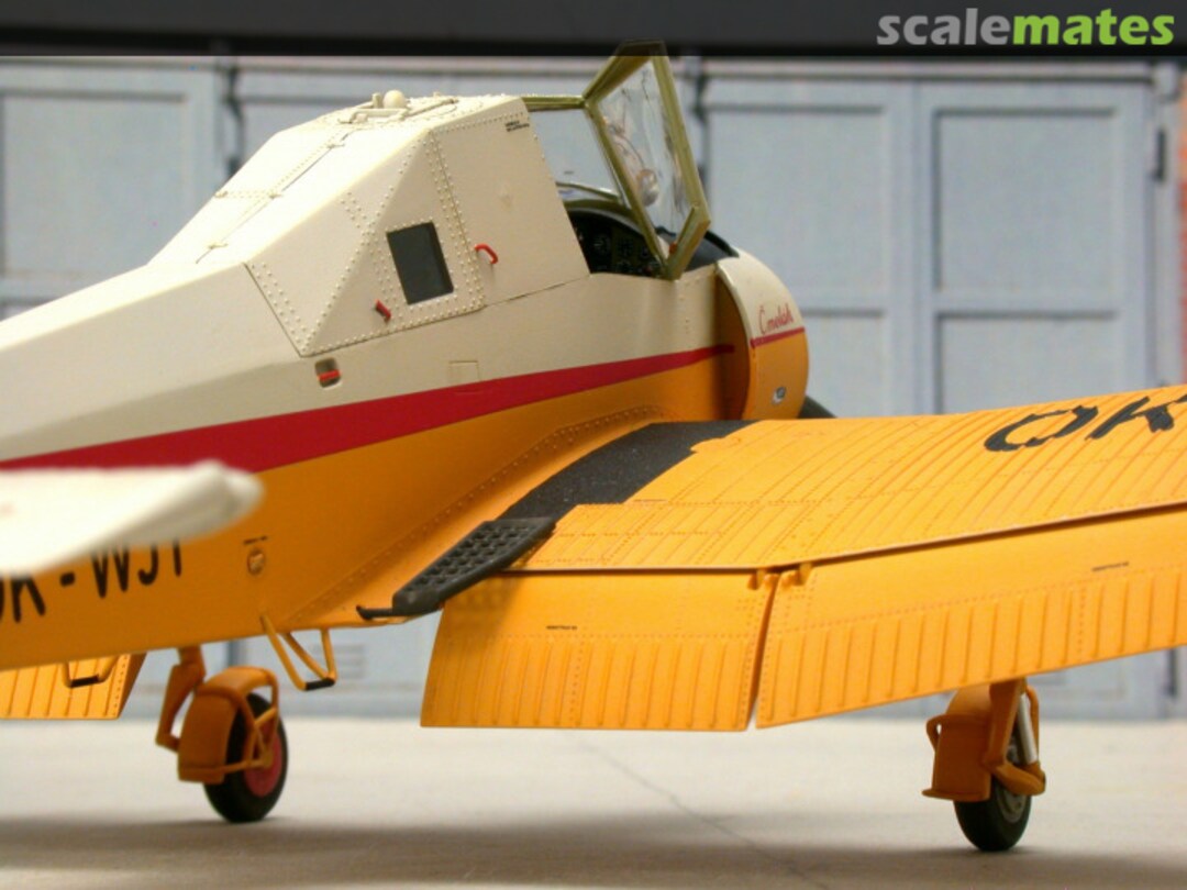 View album, image #23 View album, image #23