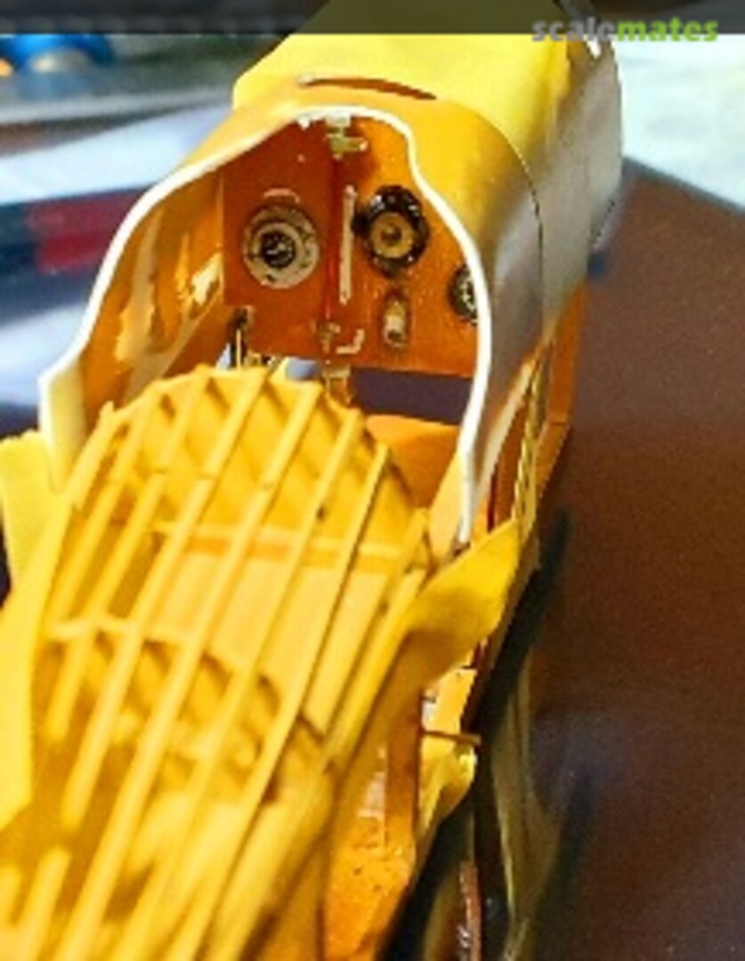 View album, image #1 View album, image #1