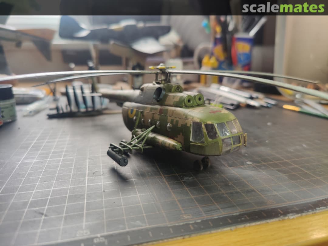 View album, image #1 View album, image #1