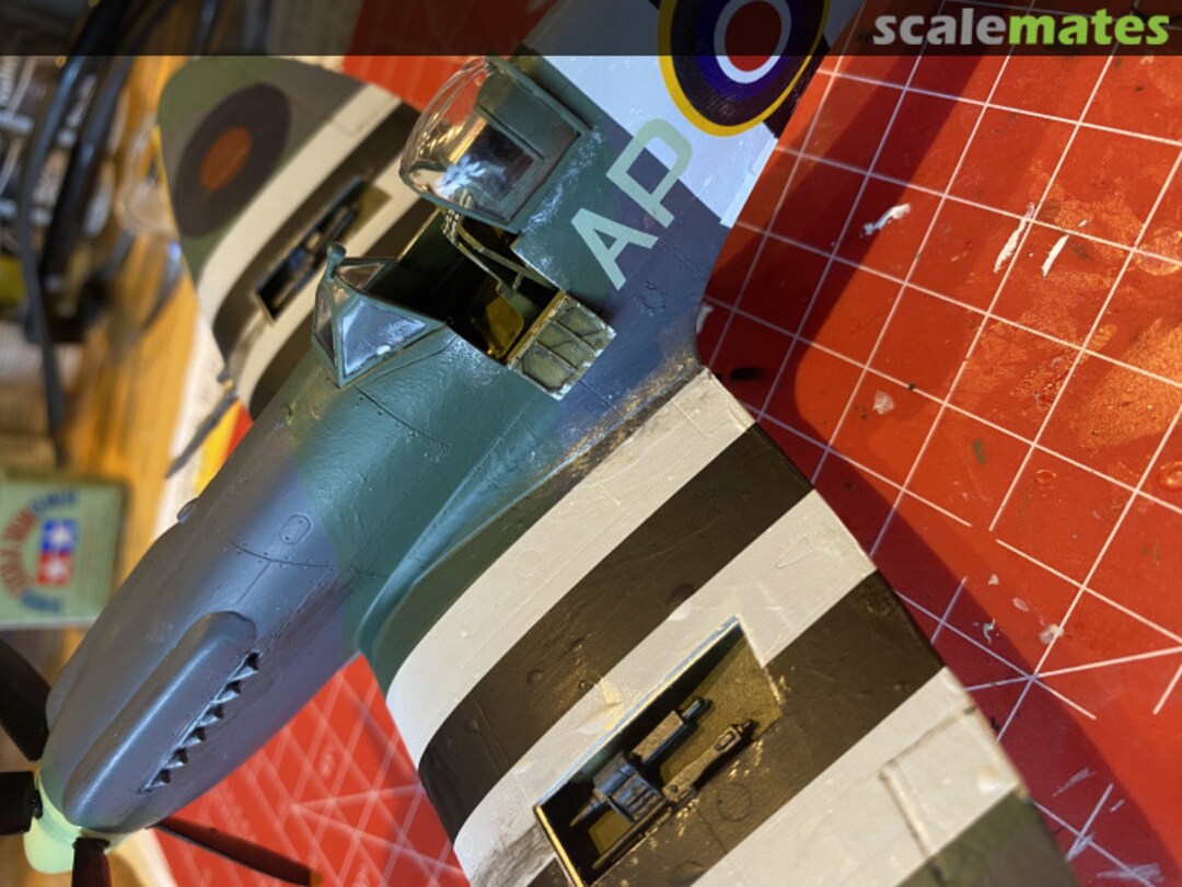 View album, image #2