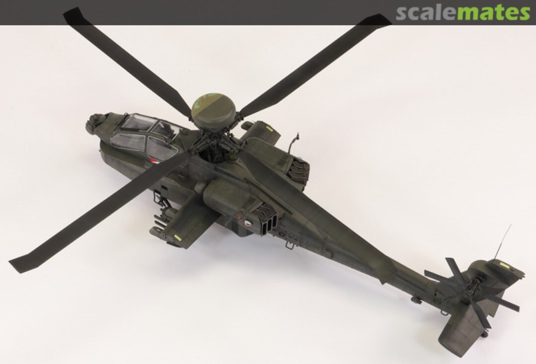 View album, image #1 View album, image #1