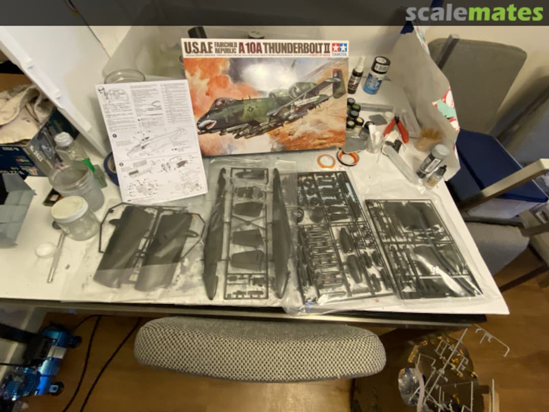 View album, image #1 View album, image #1