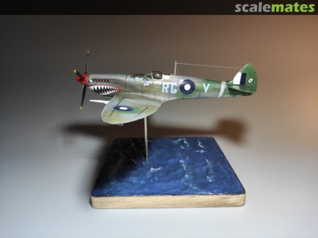 View album, image #1 View album, image #1