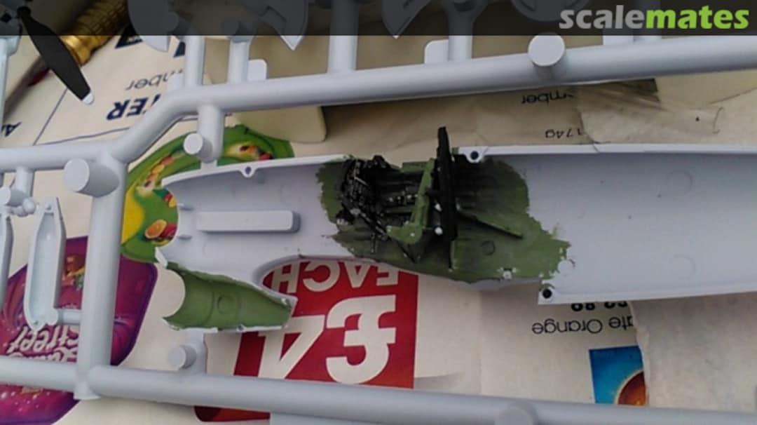 View album, image #1 View album, image #1