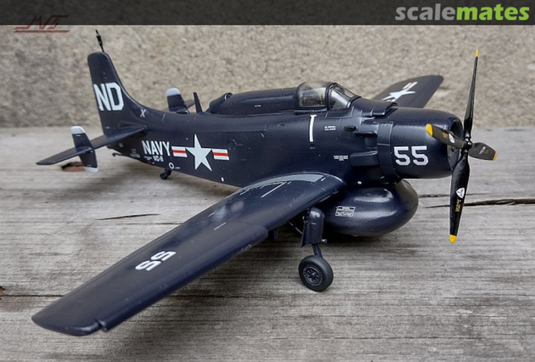 View album, image #1 View album, image #1