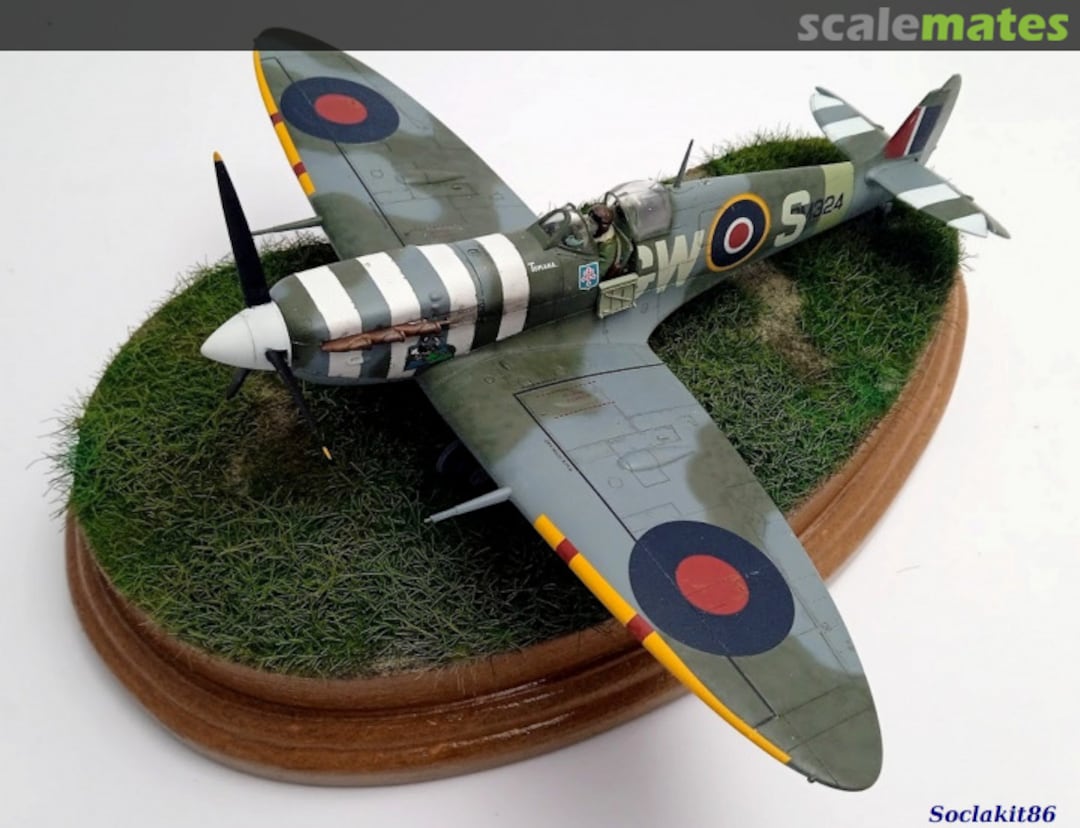 View album, image #63 View album, image #63