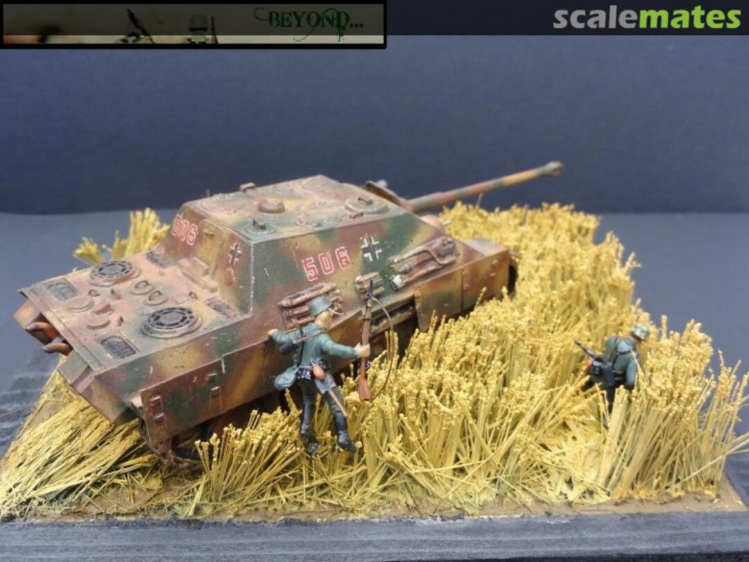 View album, image #1 View album, image #1