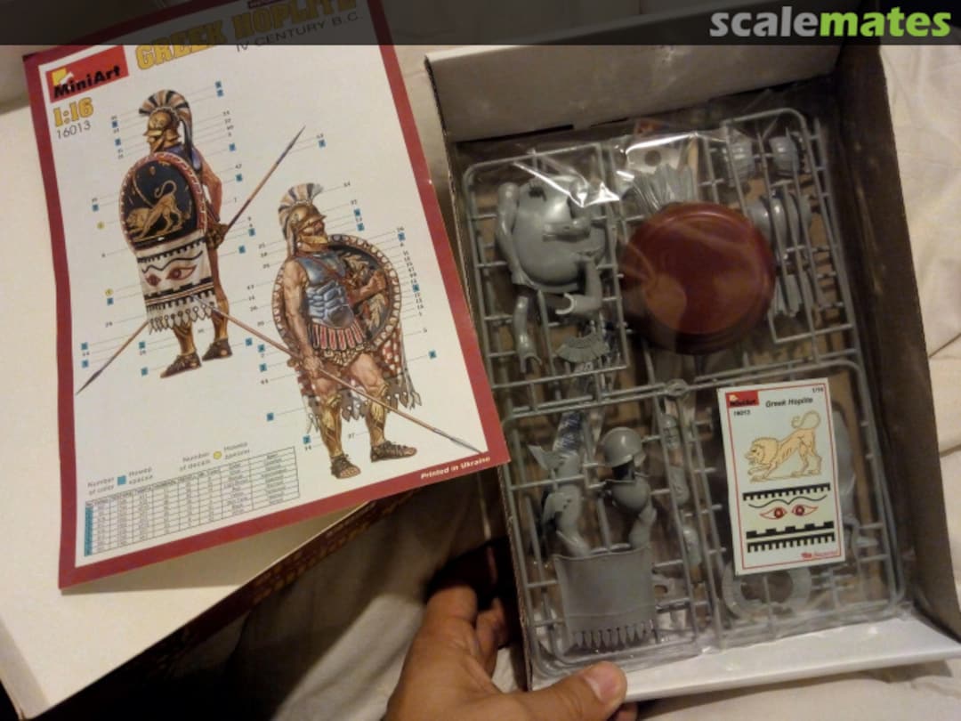 View album, image #1