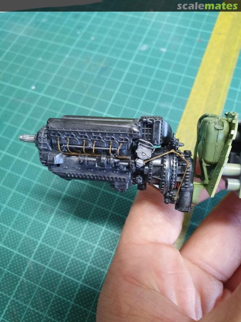 View album, image #16