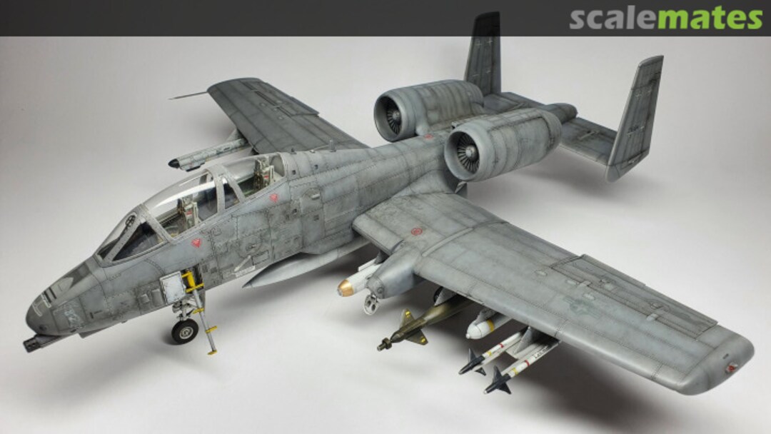 View album, image #1