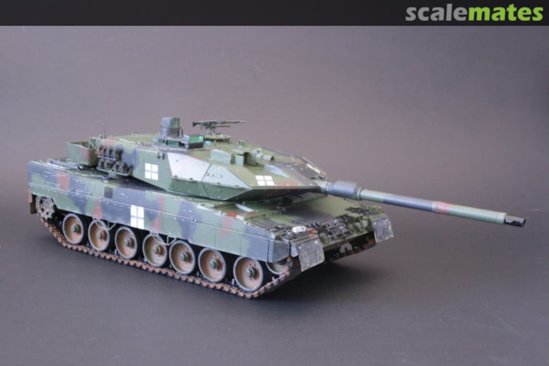 View album, image #1 View album, image #1