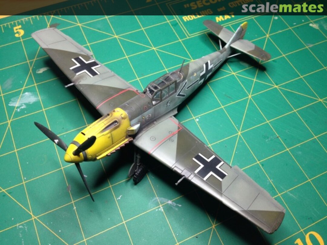 View album, image #1 View album, image #1