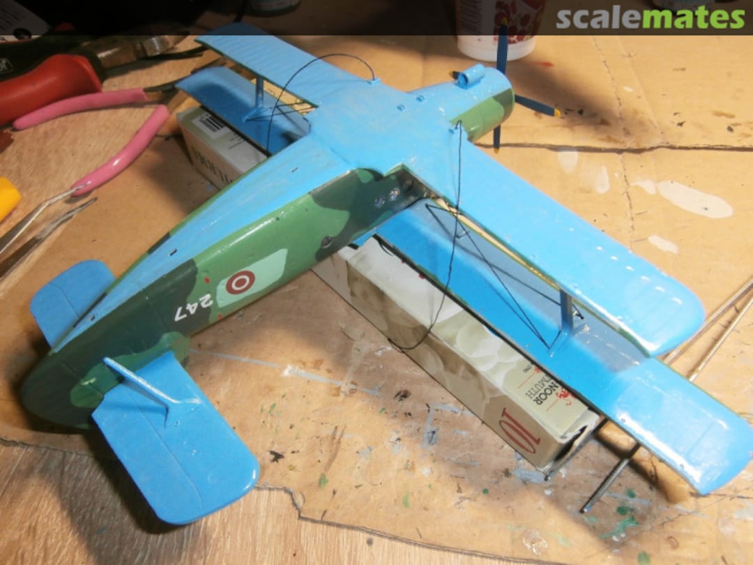 View album, image #32 View album, image #32