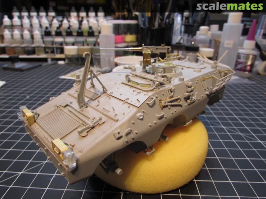 View album, image #11 View album, image #11