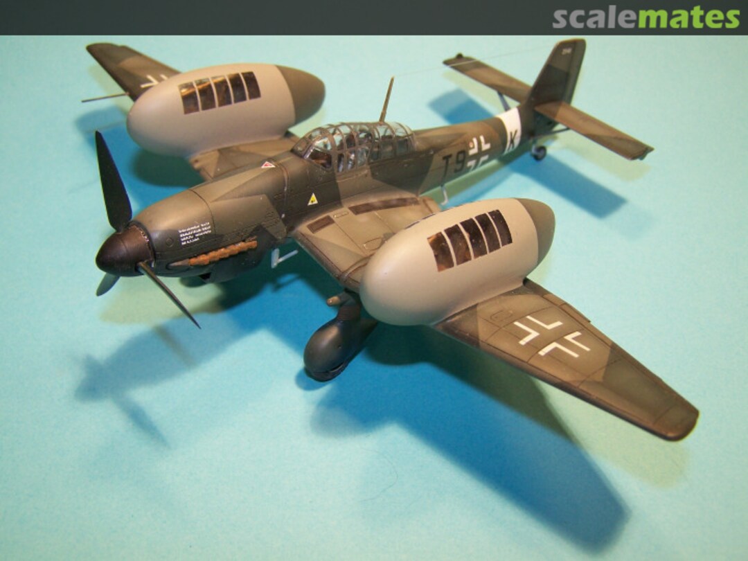 View album, image #1 View album, image #1