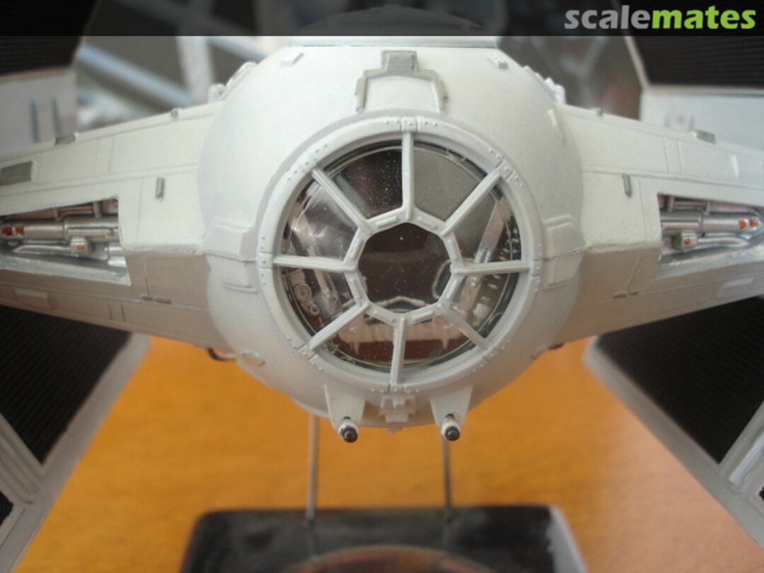 View album, image #1 View album, image #1