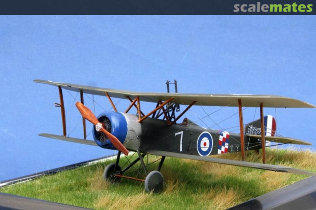 View album, image #1 View album, image #1