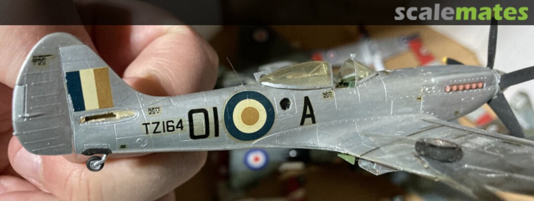 View album, image #1 View album, image #1