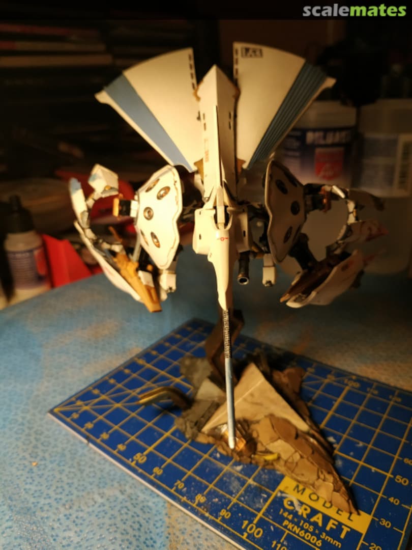 View album, image #1 View album, image #1