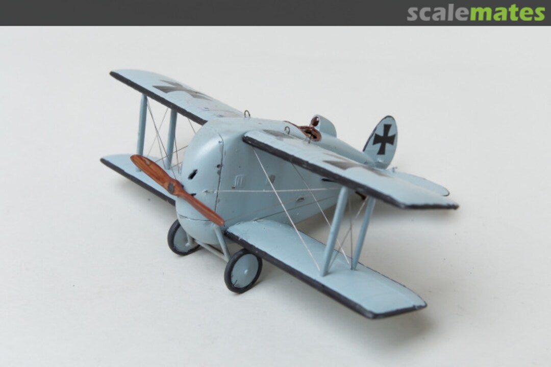 View album, image #1 View album, image #1