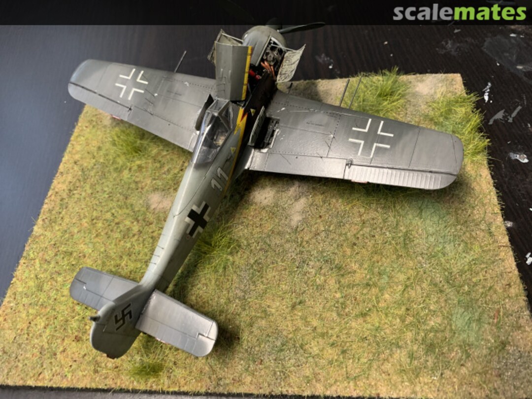 View album, image #49 View album, image #49