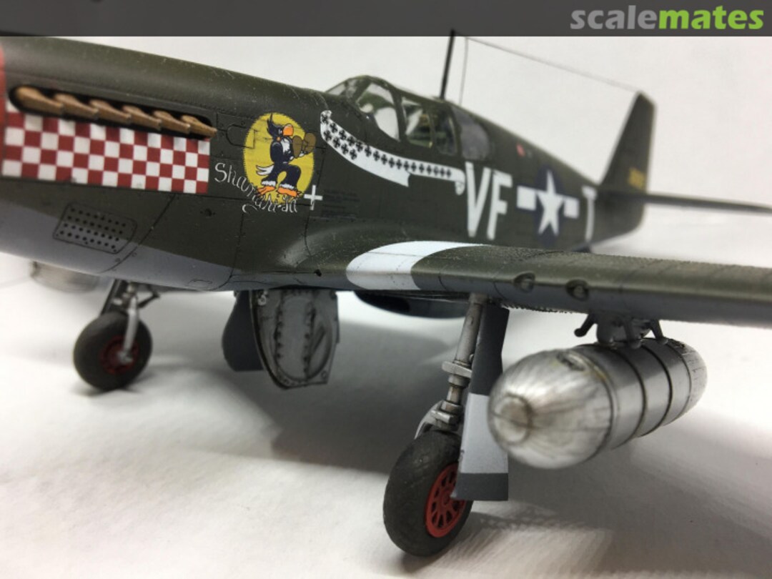 View album, image #17 View album, image #17