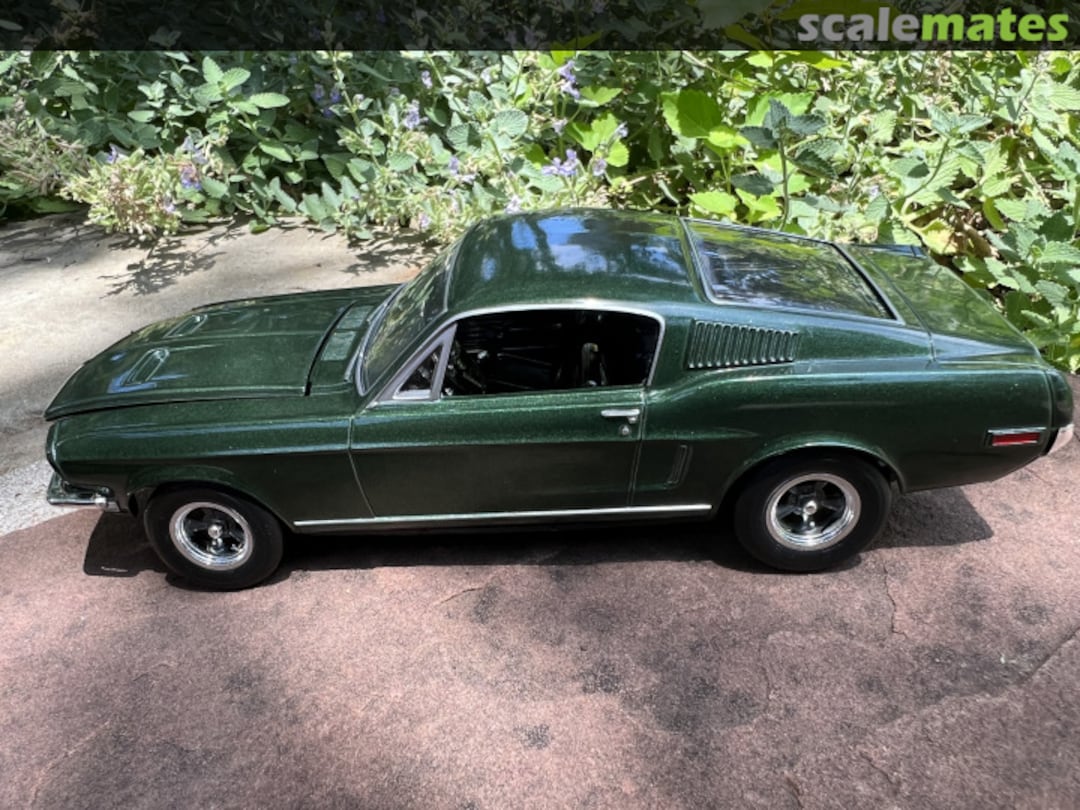 View album, image #10 View album, image #10