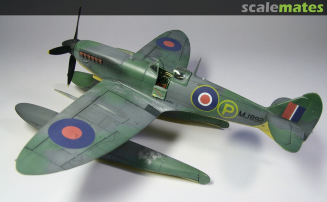 View album, image #1 View album, image #1