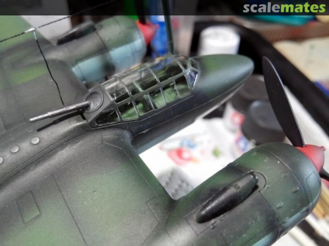 View album, image #1 View album, image #1