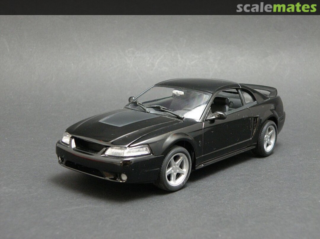 View album, image #1