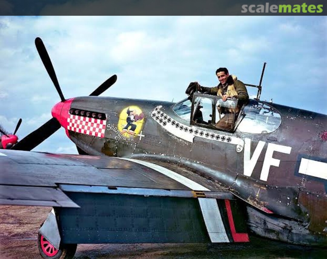 View album, image #1