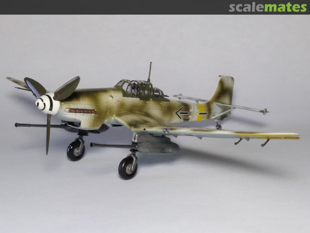 View album, image #12 View album, image #12