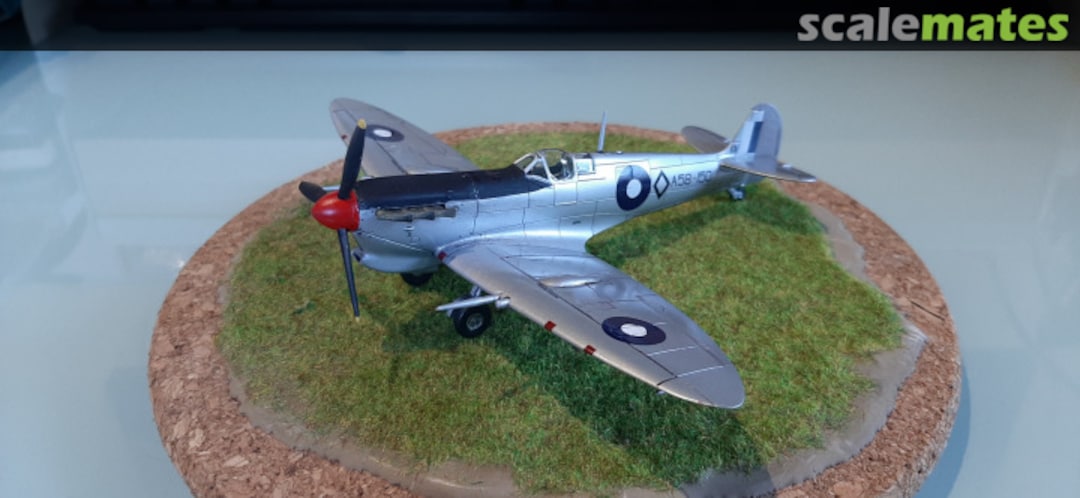 View album, image #5