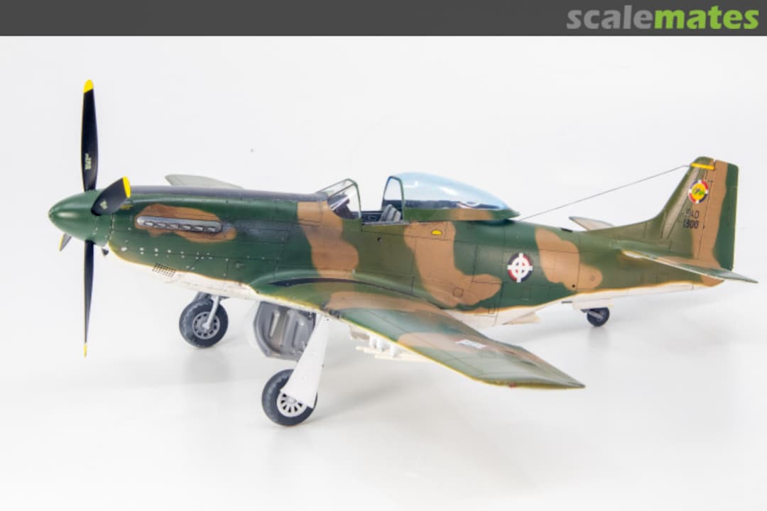 View album, image #6