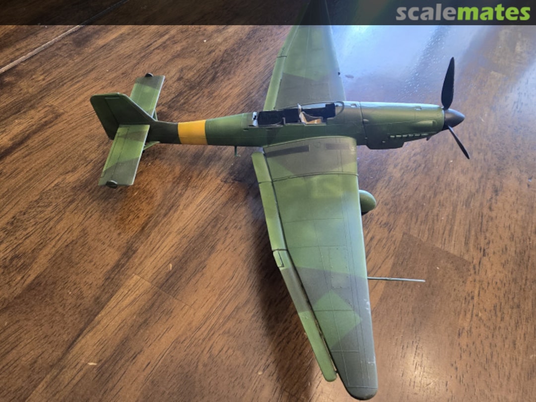 View album, image #1 View album, image #1