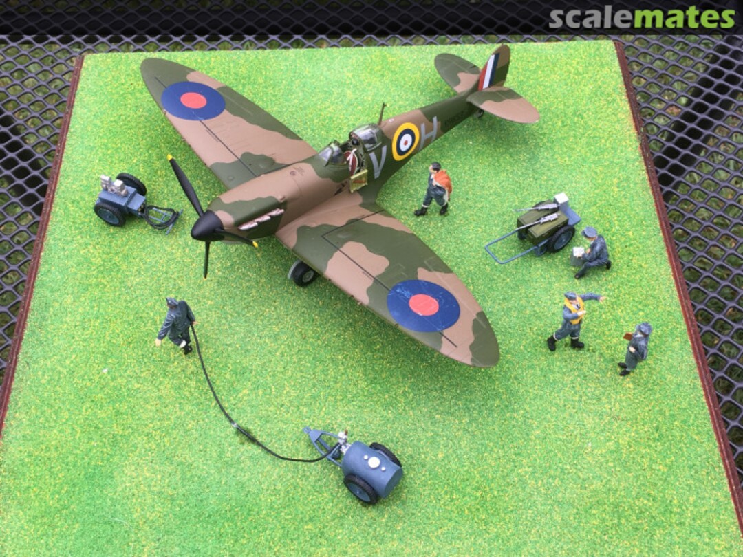 View album, image #1 View album, image #1