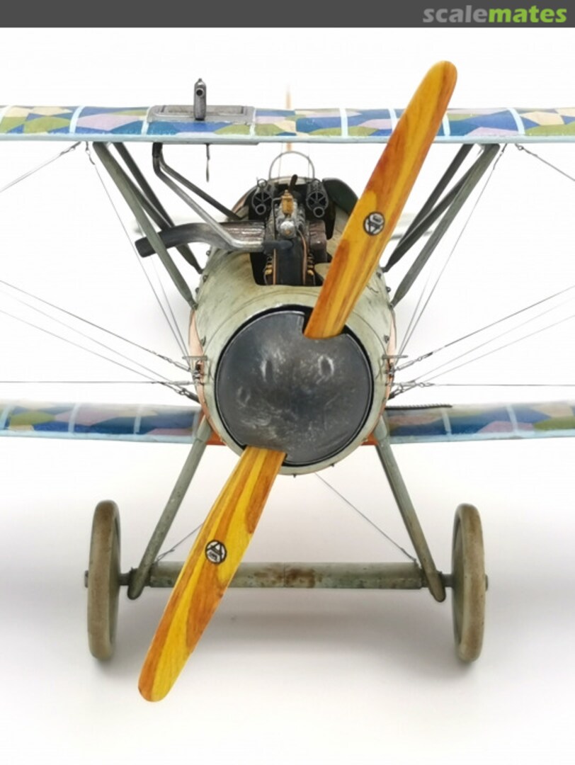 View album, image #74 View album, image #74