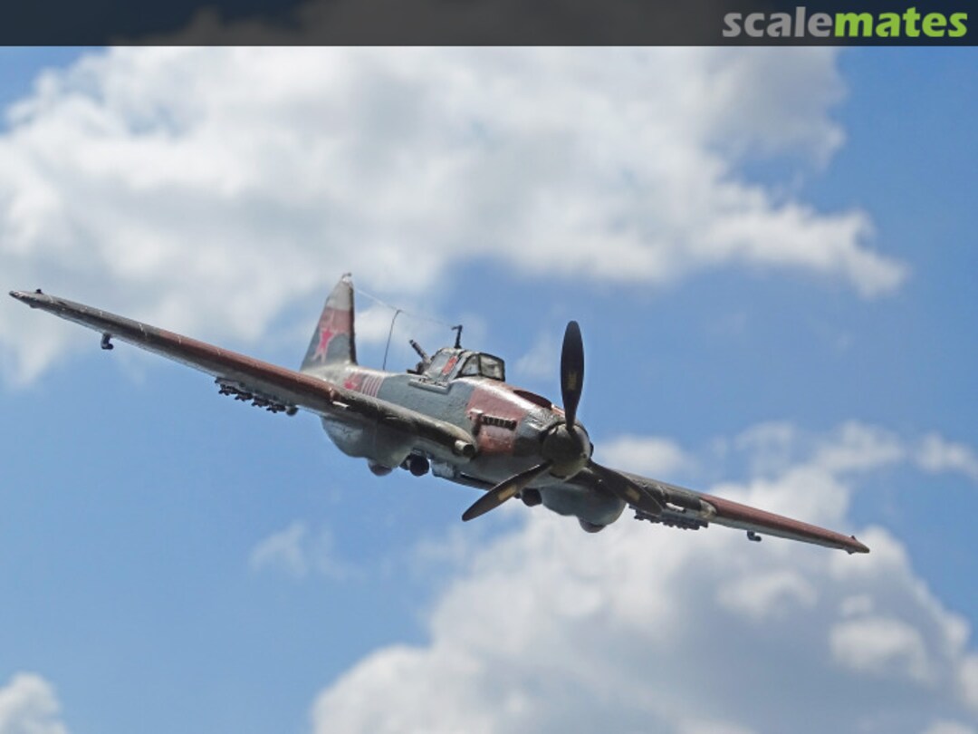 View album, image #1 View album, image #1