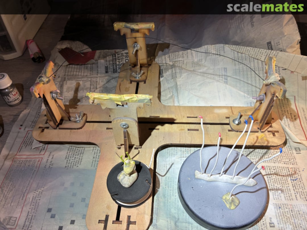 View album, image #11 View album, image #11