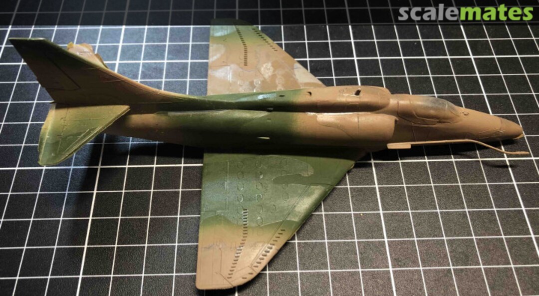 View album, image #1 View album, image #1