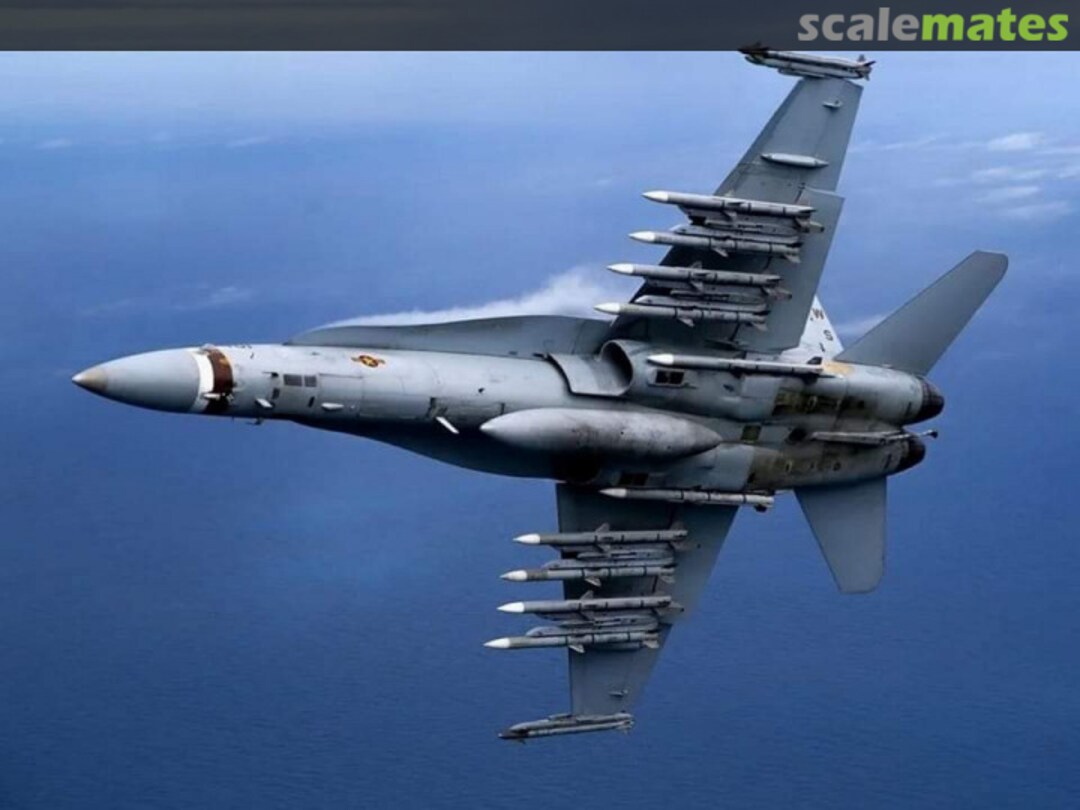 View album, image #1