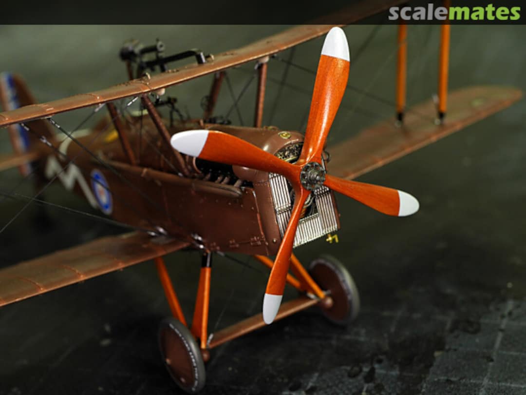 View album, image #135 View album, image #135