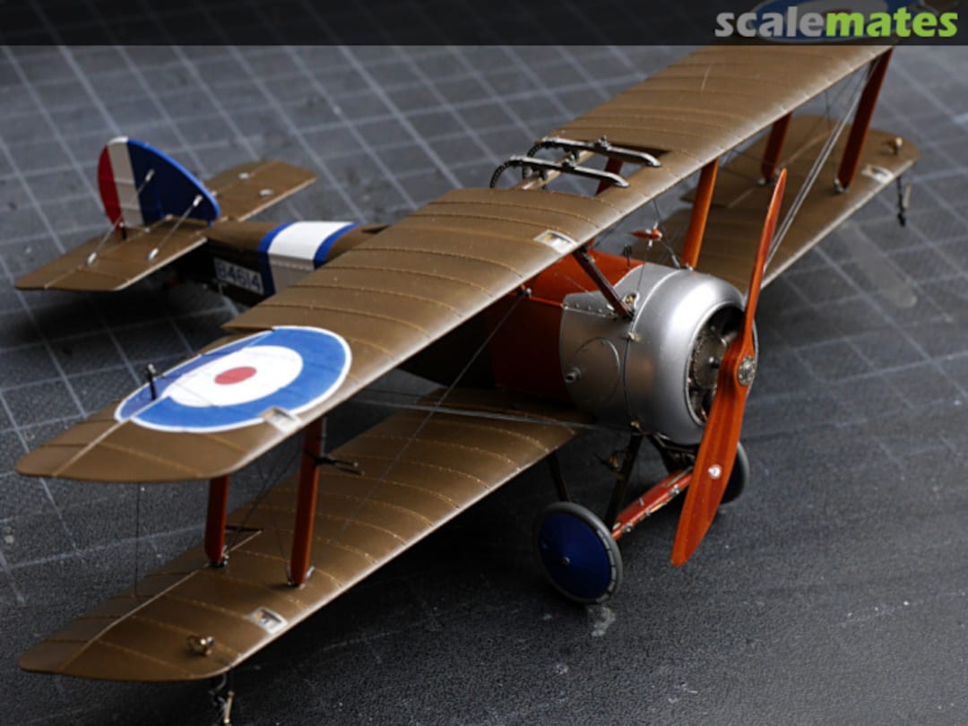 View album, image #167 View album, image #167