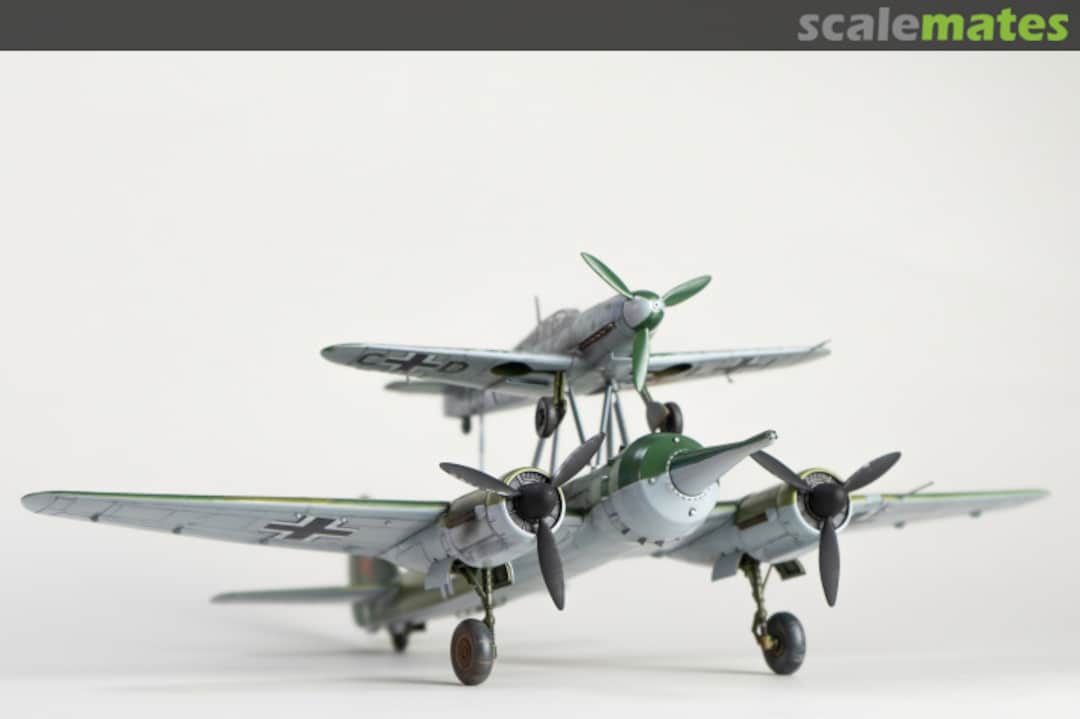 View album, image #6 View album, image #6