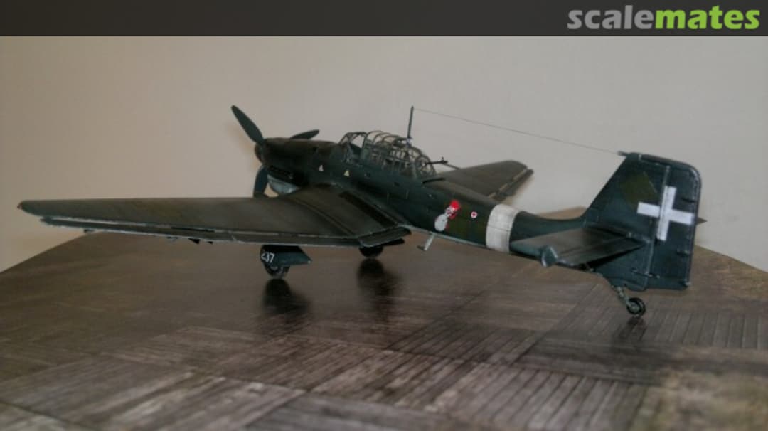 View album, image #1