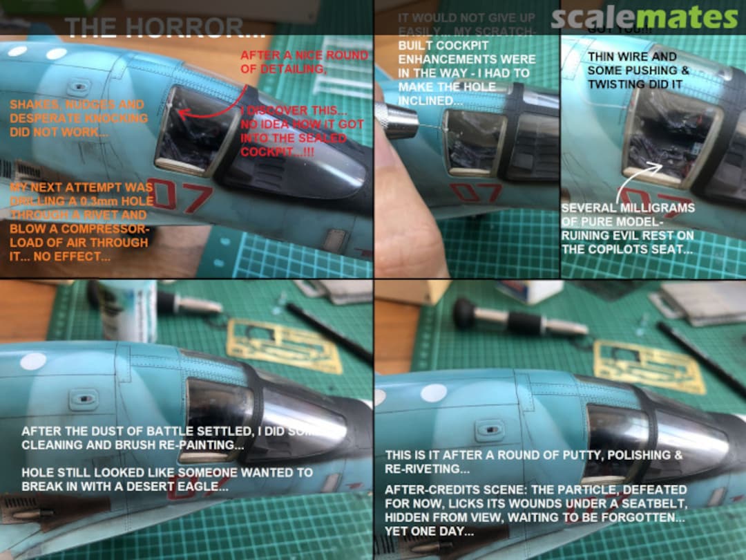 View album, image #96 View album, image #96