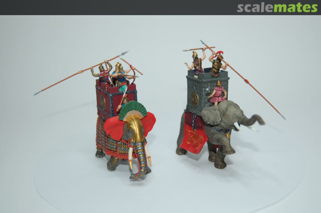 View album, image #8 View album, image #8