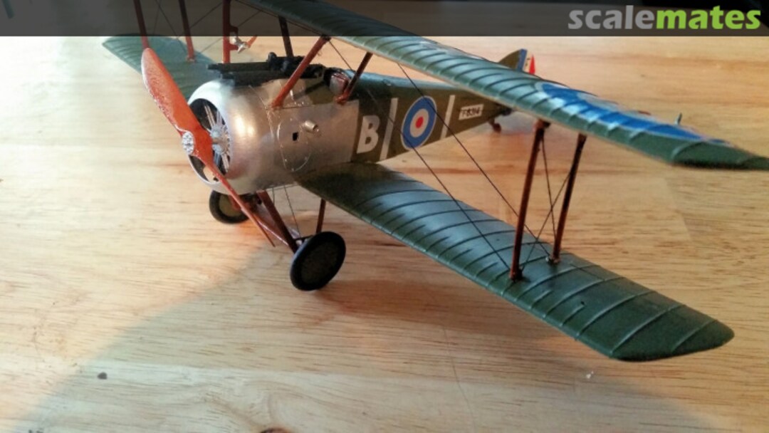 View album, image #1