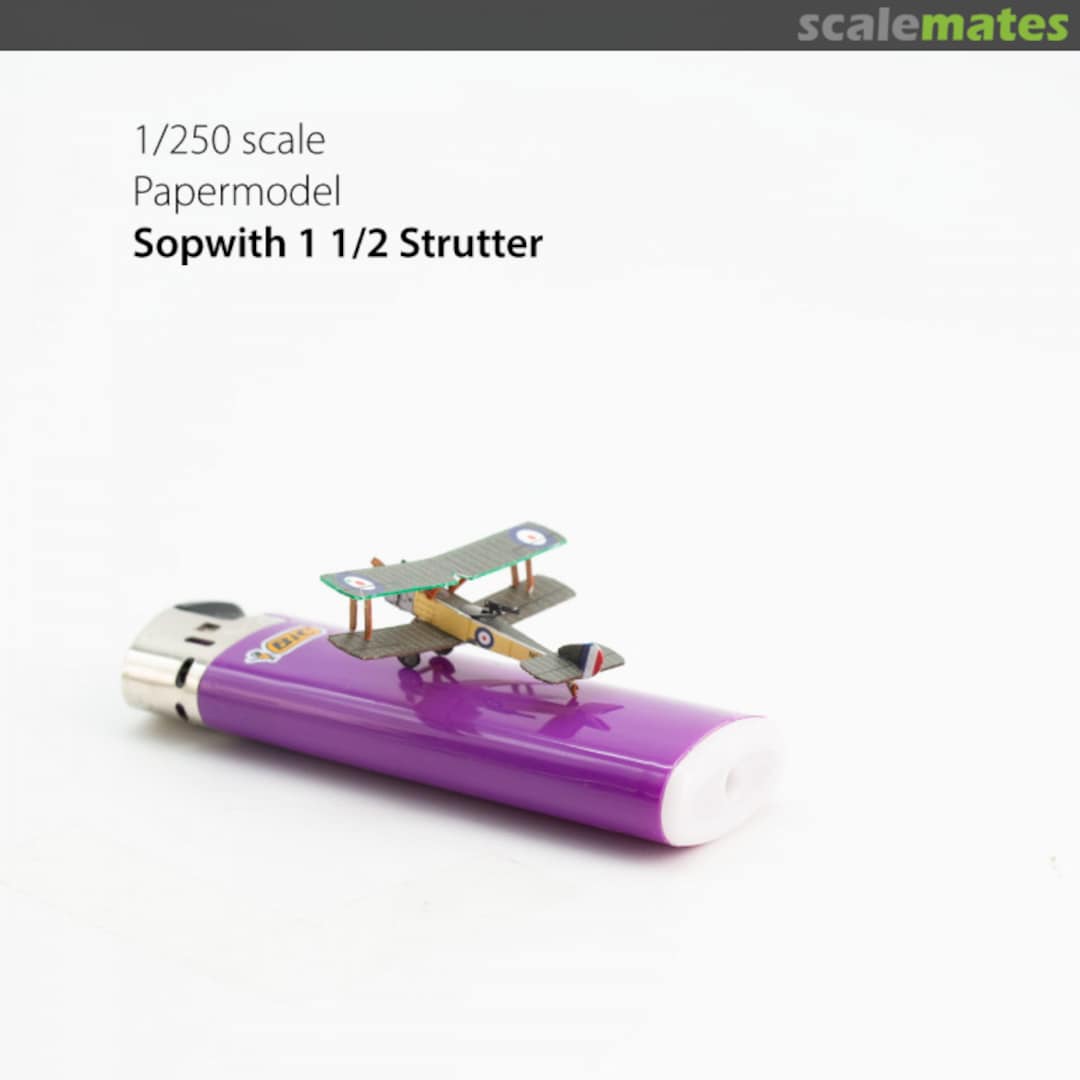 View album, image #1