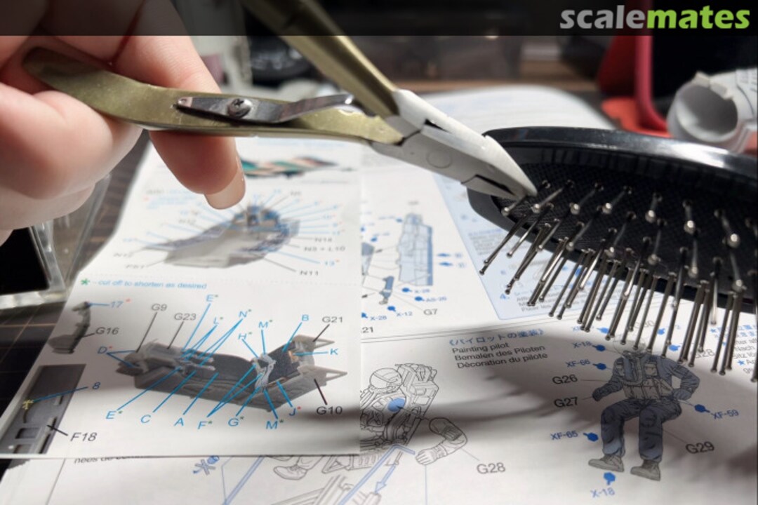 View album, image #26 View album, image #26